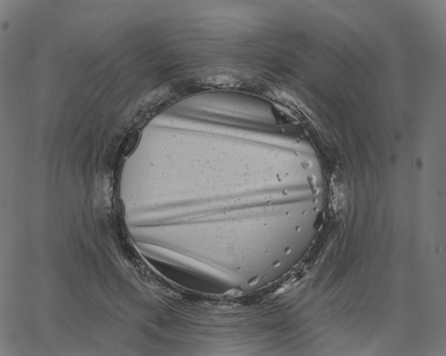 X0000067860597200604271712