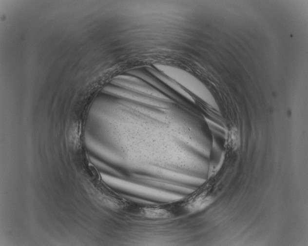 X0000067860605200604271712