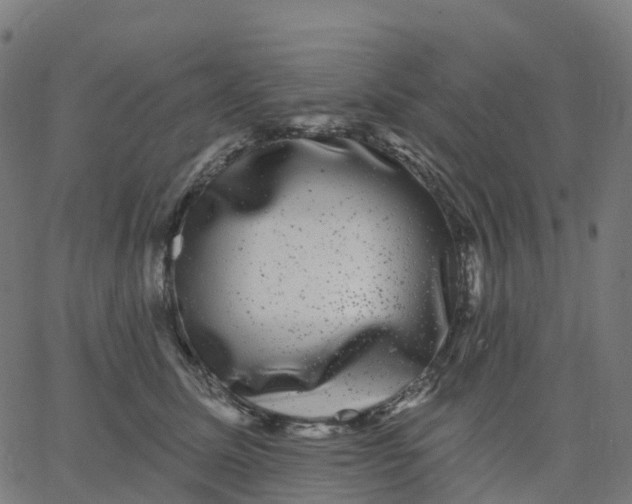 X0000067860611200604271712