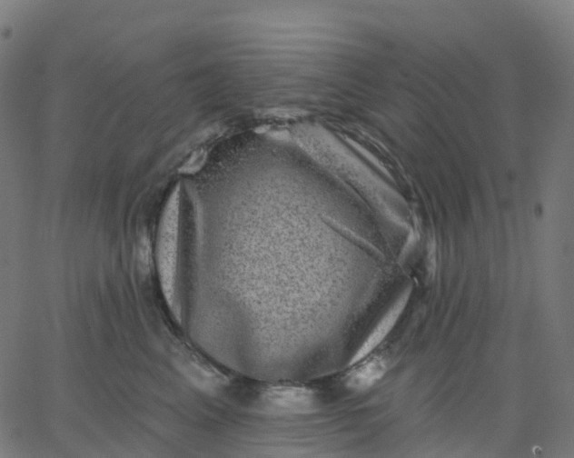 X0000067860617200604271712