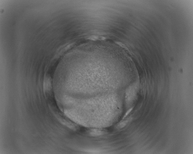 X0000067860623200604271712