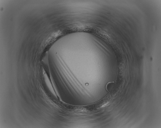 X0000067860642200604271711