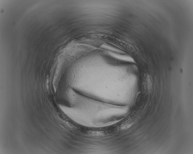 X0000067860649200604271711