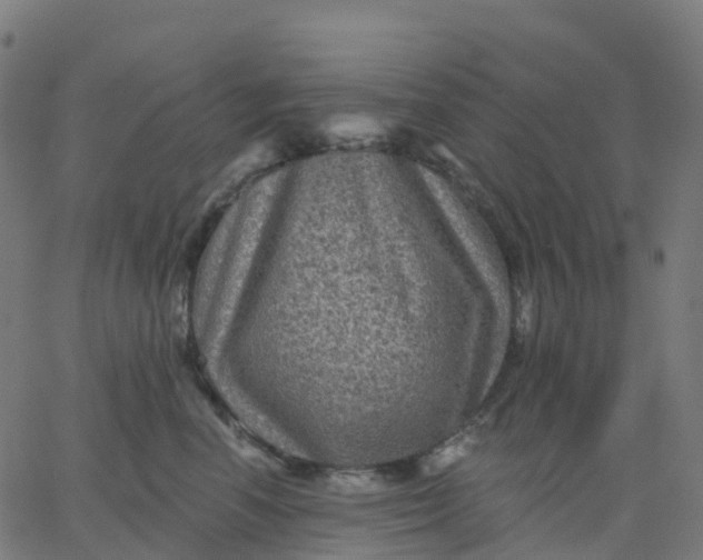 X0000067860666200604271712