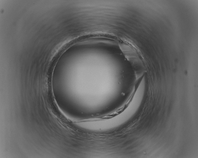 X0000067860676200604271711
