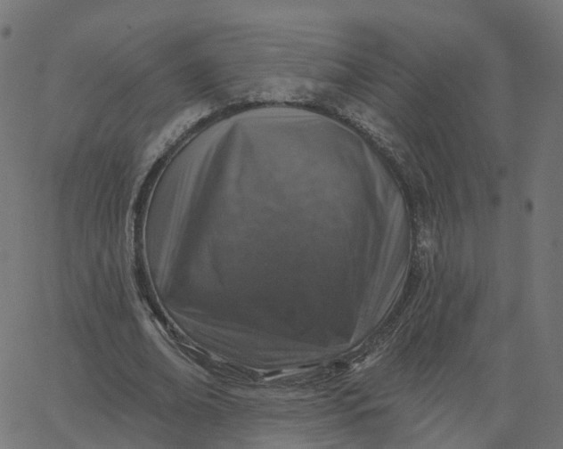 X0000067860678200604271711