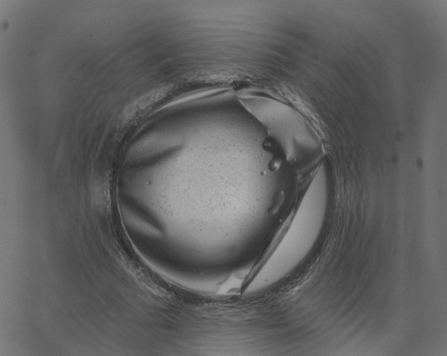 X0000067860681200604271711