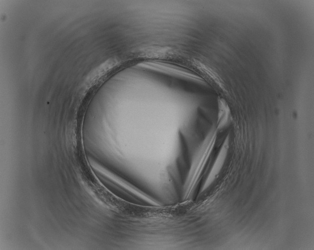 X0000067860682200604271711