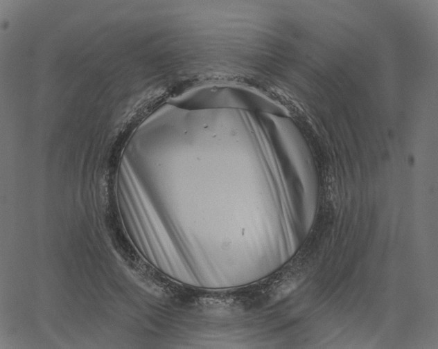 X0000067860690200604271711