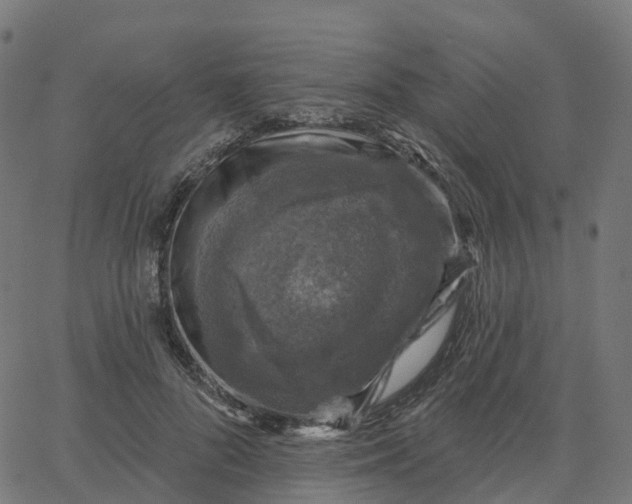 X0000067860696200604271711