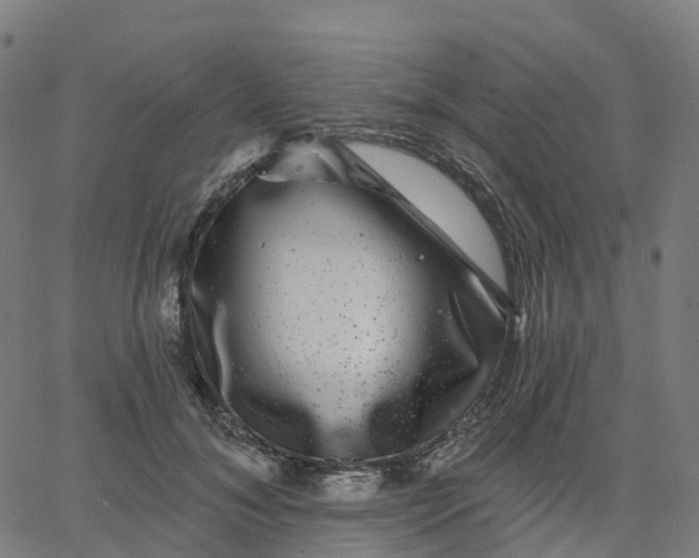 X0000067860700200604271710