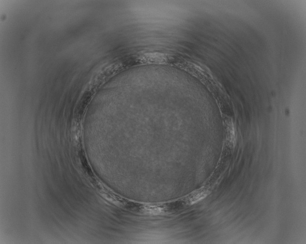 X0000067860701200604271710