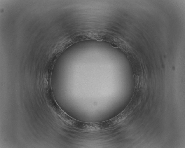 X0000067860702200604271710