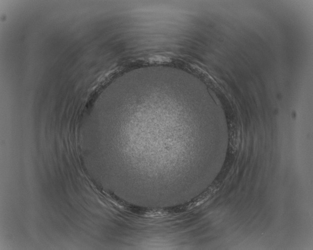 X0000067860704200604271710