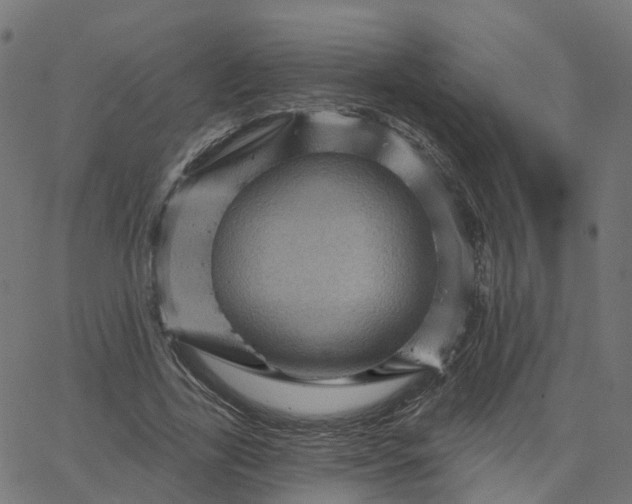 X0000067860731200604271709