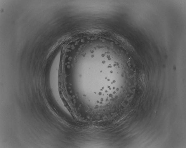 X0000067860734200604271709
