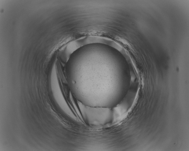 X0000067860735200604271709