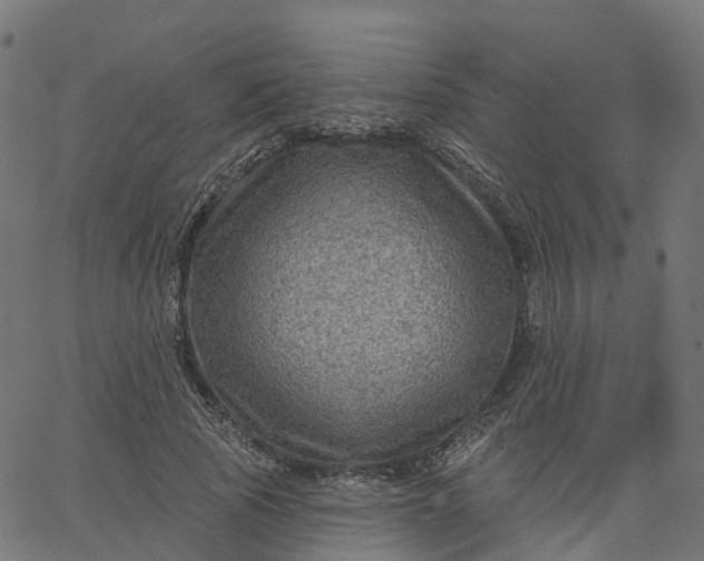X0000067860737200604271710