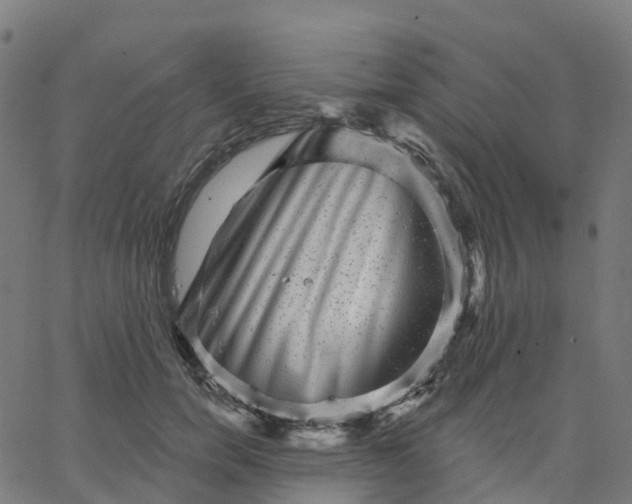X0000067860750200604271710