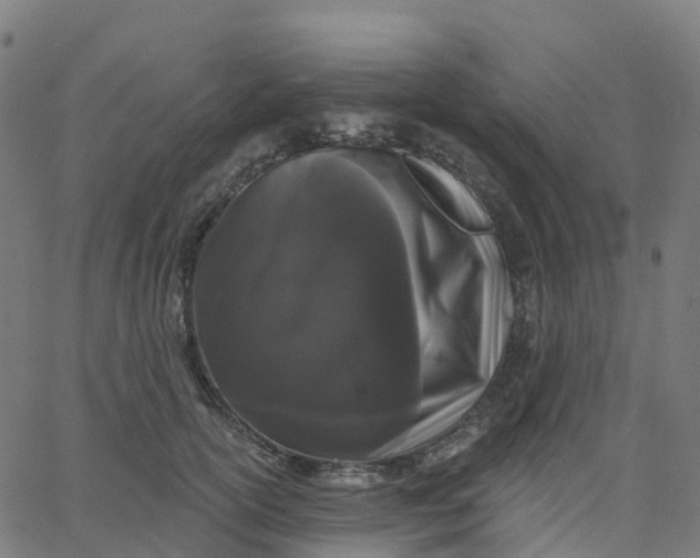 X0000067860754200604271710