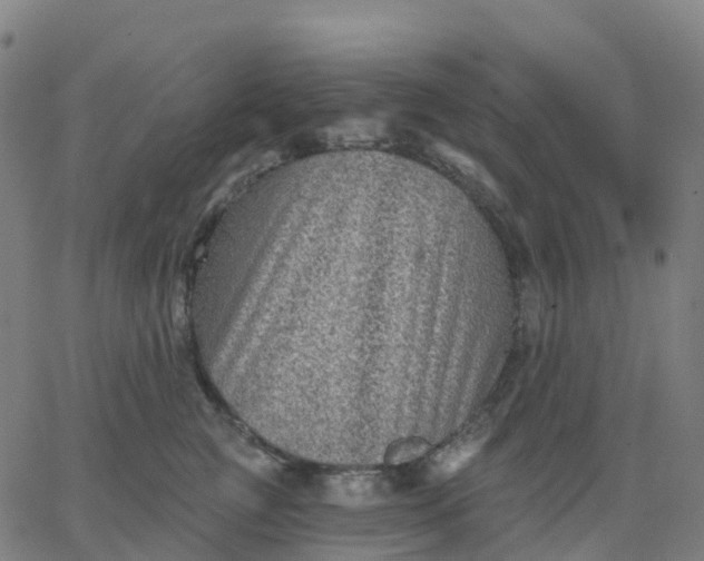 X0000067860761200604271710