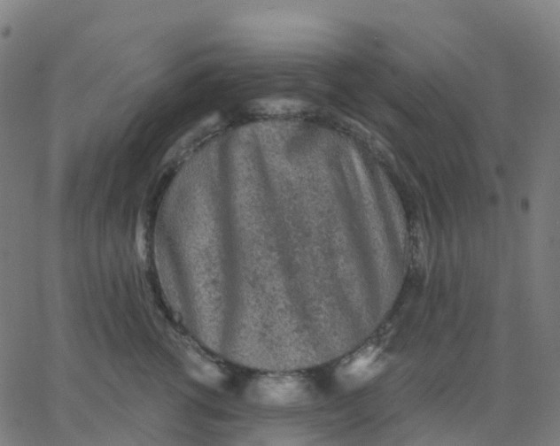 X0000067860762200604271710