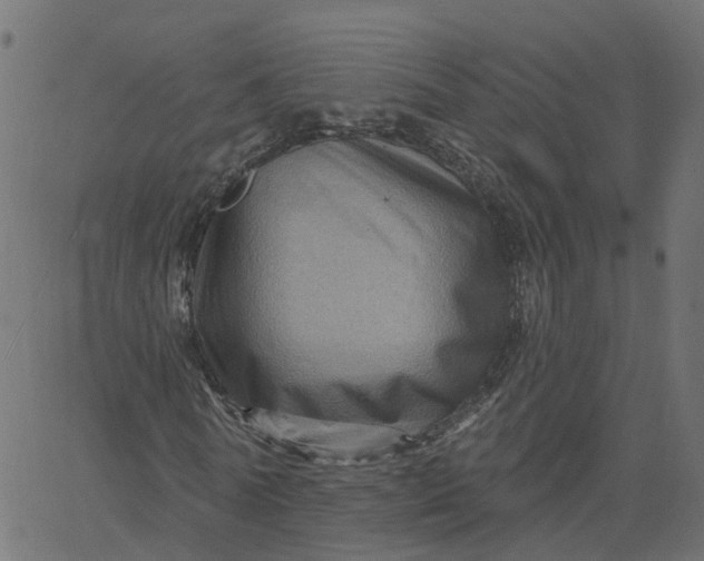 X0000067860770200604271709