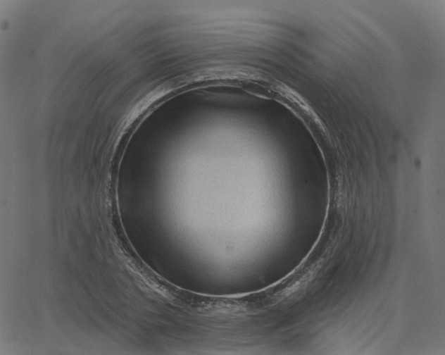 X0000067860786200604271709