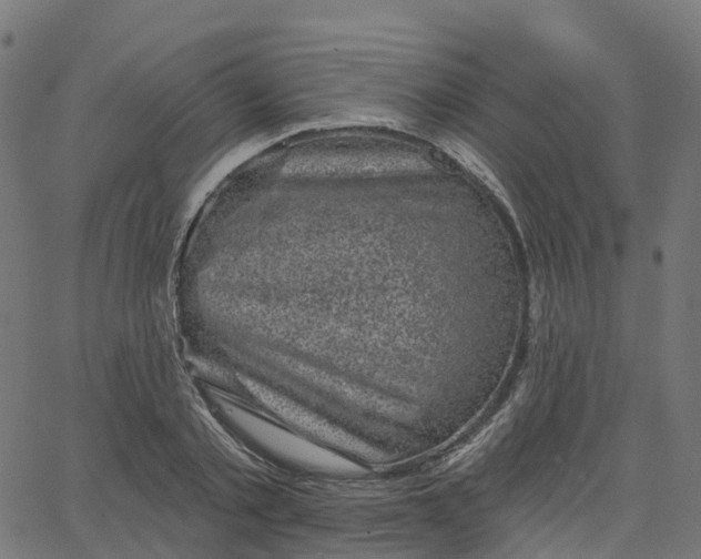 X0000067860789200604271709