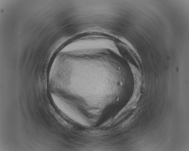 X0000067860791200604271709