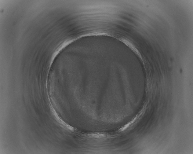 X0000067860797200604271709