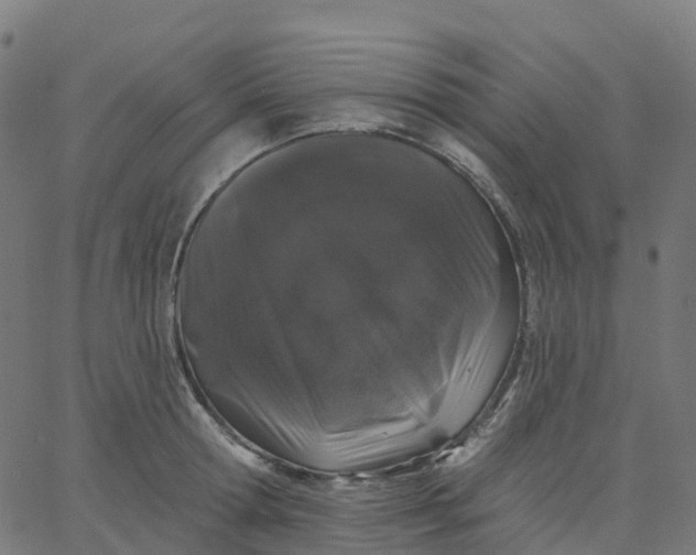 X0000067860802200604271709
