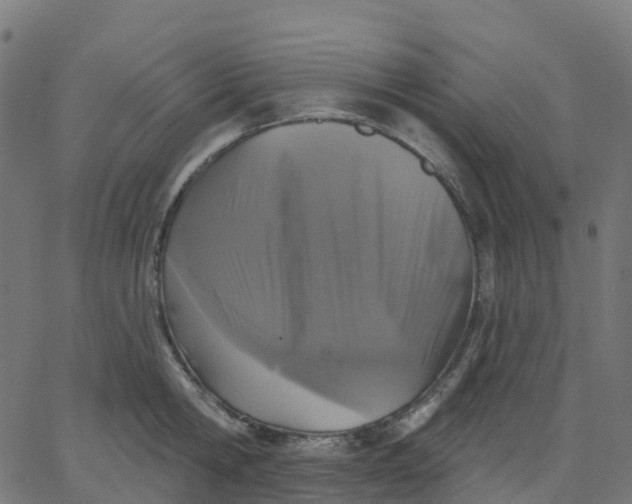 X0000067860806200604271709