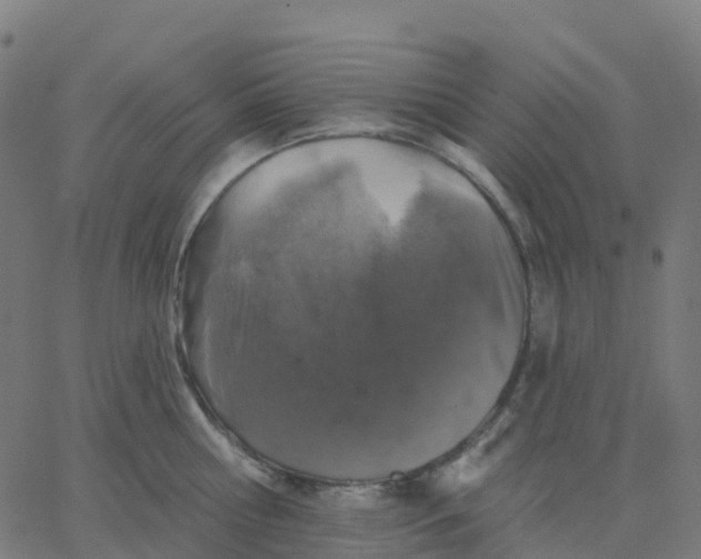 X0000067860810200604271709