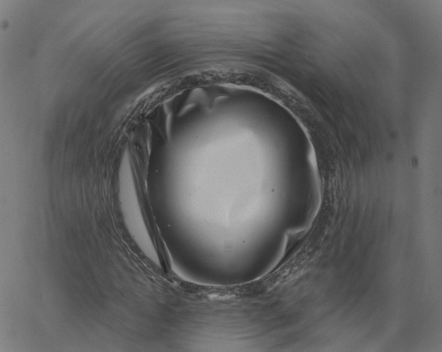 X0000067860822200604271708
