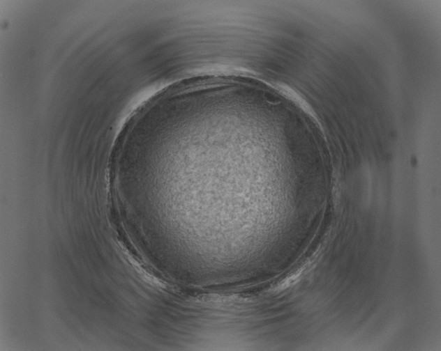 X0000067860831200604271708