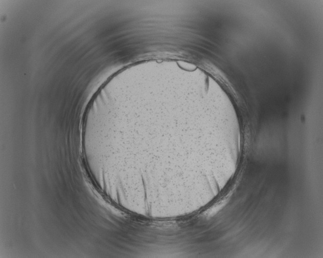 X0000067860844200604271708
