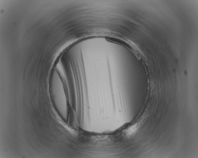 X0000067860846200604271708