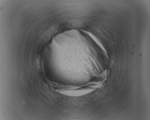 X0000067860866200604271708