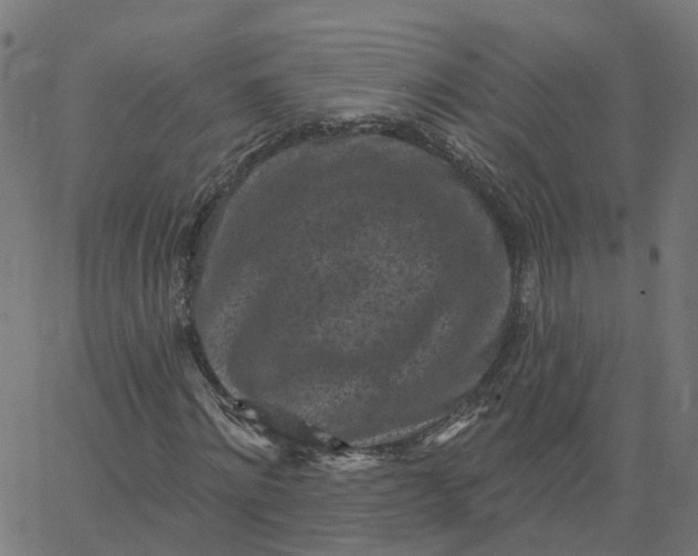 X0000067860868200604271708