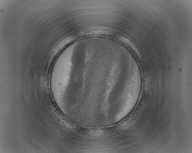 X0000067860882200604271707