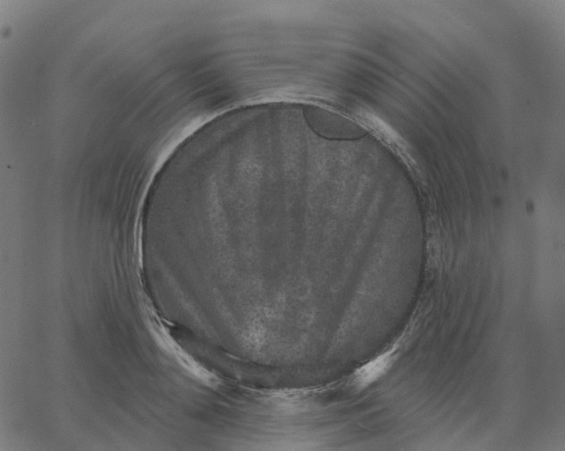 X0000067860892200604271707