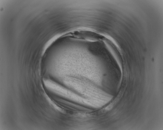 X0000067860910200604271707