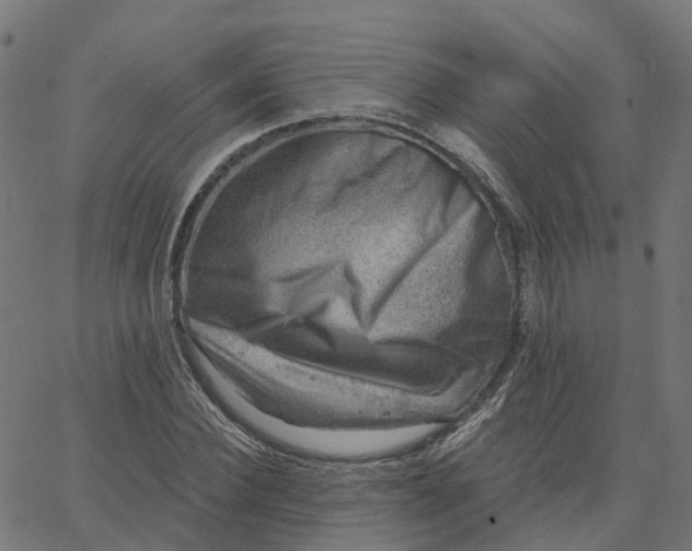 X0000067860924200604271706