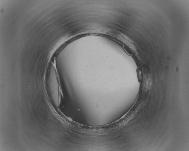 X0000067860936200604271706