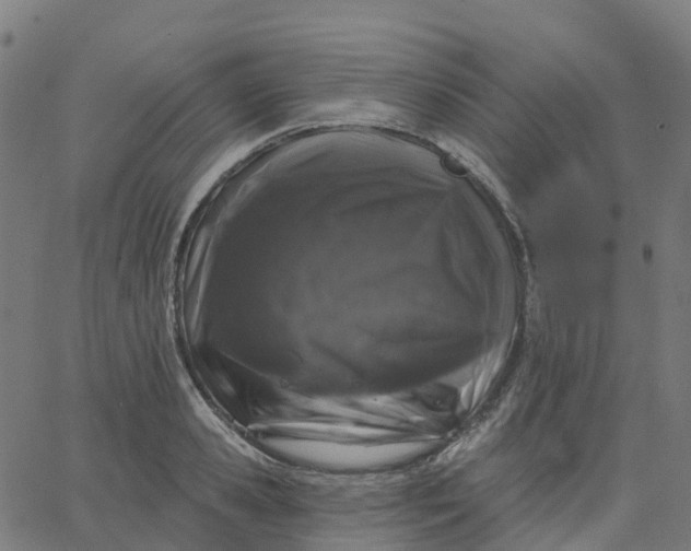 X0000067860941200604271707