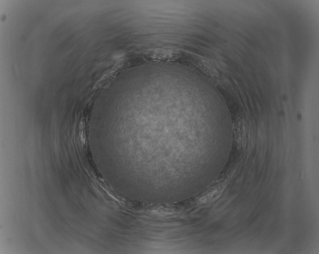 X0000067860962200604271706