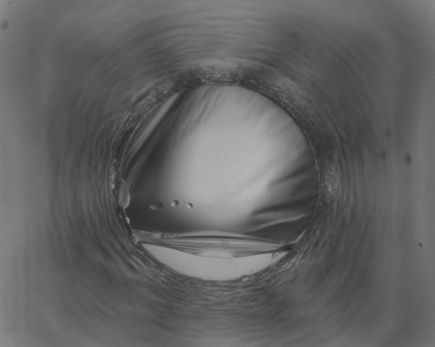 X0000067860964200604271706