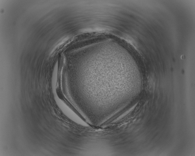 X0000067860967200604271706