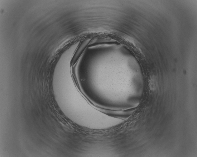 X0000067860968200604271706